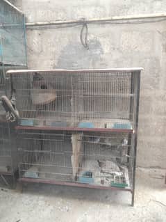 cage use