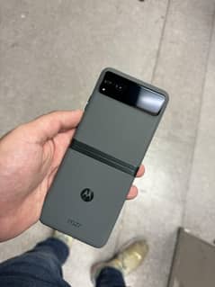 motorola razr 2023
