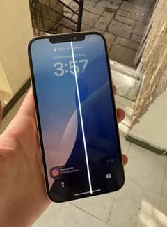 iphone 12 pro max panel