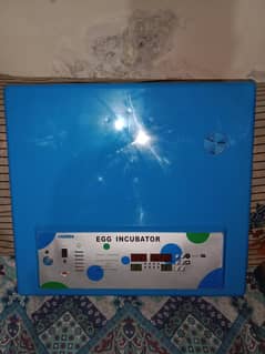 Yiwan fully automatic incubator machine