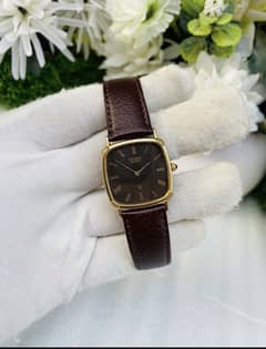 Citizen CQ  Ref # 4-213513 Y