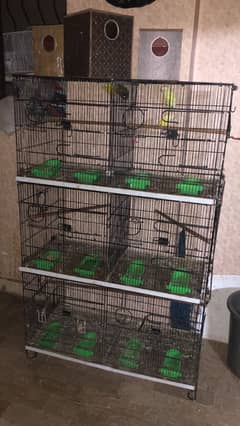 6 protein cage
