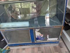 used showcase for shop available for sell