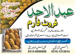 mangos Super Sindhri josa