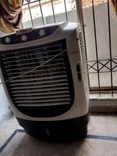 cooler super asia
