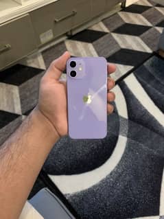 iphone 12 mini