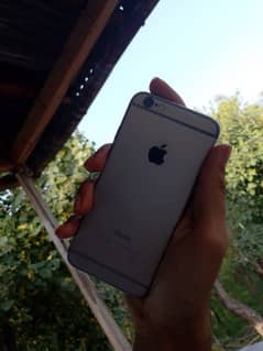 iphone 6 PTA