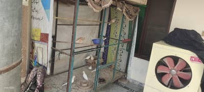 5 by 6 cage for sale