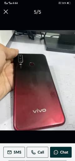 vivo