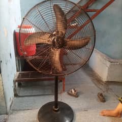 used hai