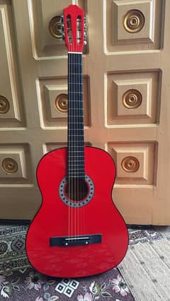 Acoustic Guitar New with bag and all accessories