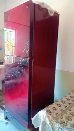 PEL Refrigerator 160GD MG