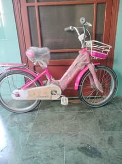 Kids Cycle| Girls Bicycle| Cycle