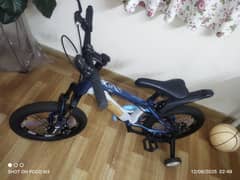 BDF Cycle Brand New 18 Inch