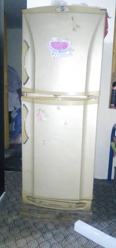 PEL CRYSTAL FRIDGE (medium)