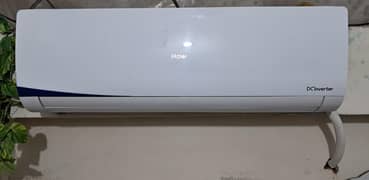 Haier