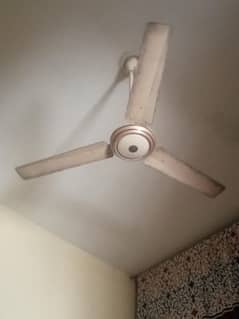 GFC Coper winding original Fan