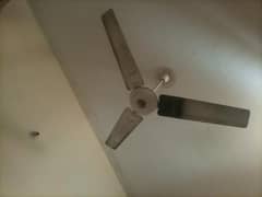 celling fan