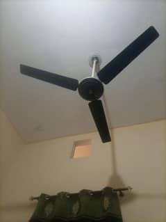 celling fan