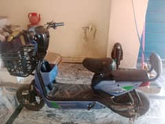 Electricon bike