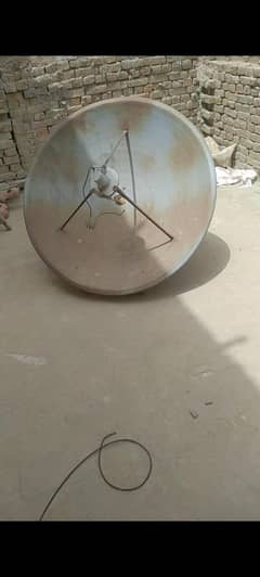 Dish