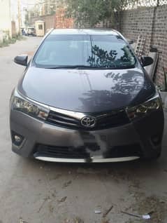 Corolla gli