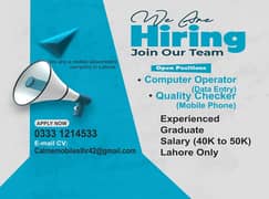 Data Entry & Quality Checker