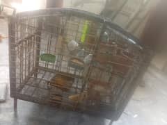 double layers cage heavyweight