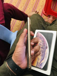 Iphone xs max 256 pta