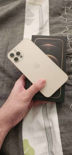 Iphone 12 pro