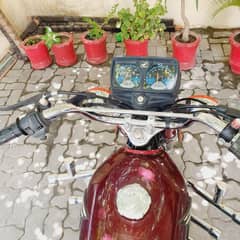 125 bick