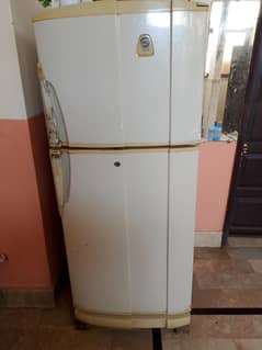 pel fridge available haa ok ha 10/7 condition ha final price 40000