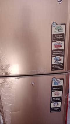PEL inverteron fridge