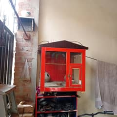 pair 2 age 1 year with cage