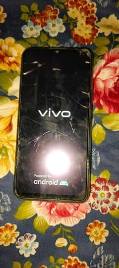 vivo