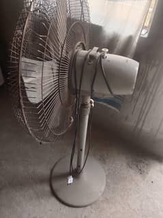 pedistal fan for sale