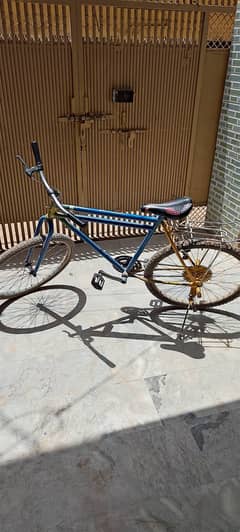 Ciycle
