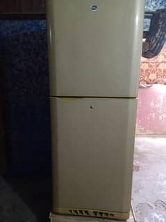 Pel