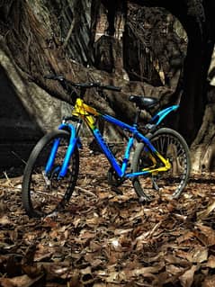 KROSS Sports Mountain Bicycle