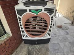 Candy Air Cooler