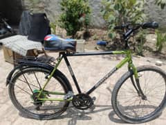 phoenix cycle