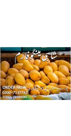 Mango