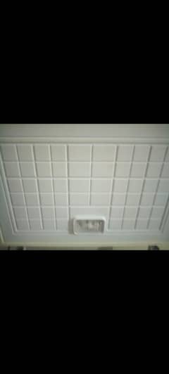 D Freezer