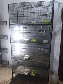 4 portion cages