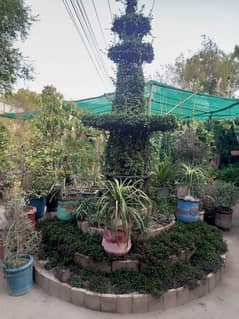 Nursery