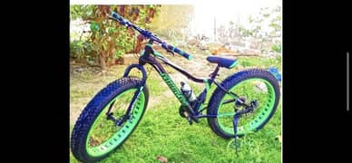 Fat boy cycle