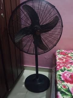 03484642475