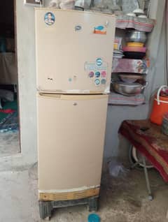 pel ki company he gold color