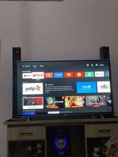 Tcl 55 inch