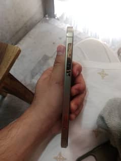 i phone 12 pro  pta approved